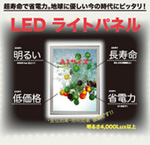 Wu[XfUCLEDCgpl@邢@ቿi@@ȓd